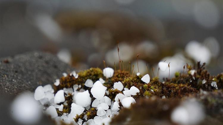 ΕΛΓΑ: Εγκρίθηκαν οι αναγγελίες ζημιάς για το χαλάζι της 28ης Νοεμβρίου στους παραγωγούς του Δήμου Ευρώτα