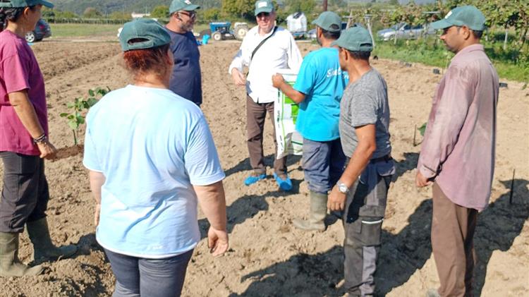 Οδηγός αρχικών προϋποθέσεων για την επιτυχή καλλιέργεια ακτινιδίων