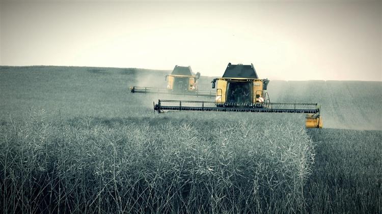 Πώς το σιτάρι της μαύρης θάλασσας καθορίζει την επόμενη εποχή τιμών