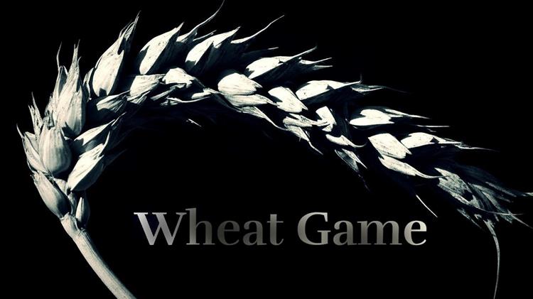 Σιτάρι: Απότομες αλλαγές στις τιμές της Μαύρης Θάλασσας δείχνουν δύσκολο χειμώνα