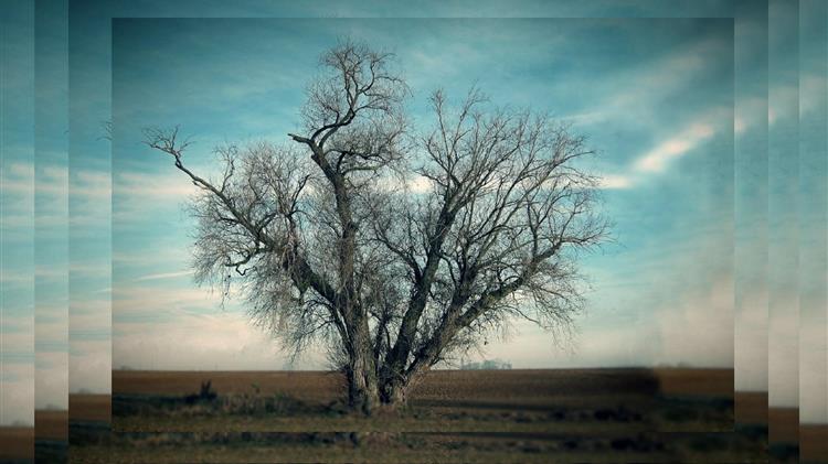 Η αθέατη κρίση της ελληνικής υπαίθρου