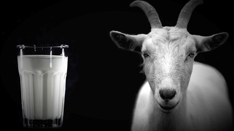 Η αγορά βράζει από νοθεία  και ο ΕΛΓΟ–ΔΗΜΗΤΡΑ απουσιάζει από τον ρόλο του φύλακα