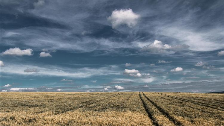 Η καλλιέργεια άνθρακα και η σιωπηλή τεχνολογία πίσω από το χωράφι
