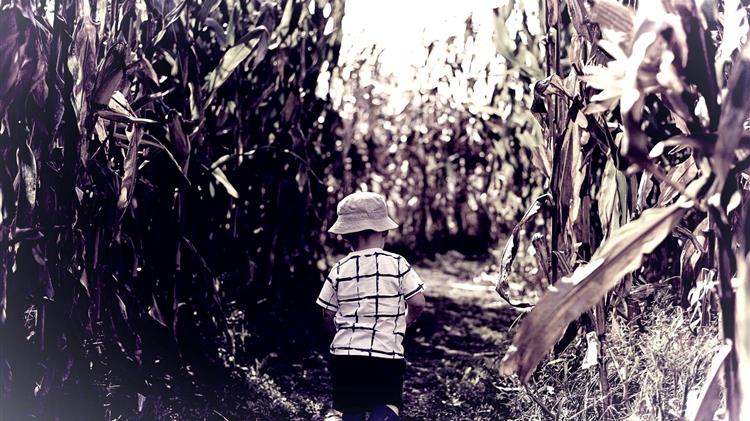 Το 2026 δεν είναι το τέλος της γεωργίας  είναι η στιγμή της επανεκκίνησης