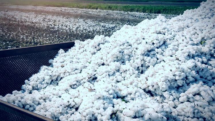 Πού κατευθύνθηκαν οι ενισχύσεις ΟΣΔΕ και τι αποκαλύπτει η γεωγραφία των πληρωμών