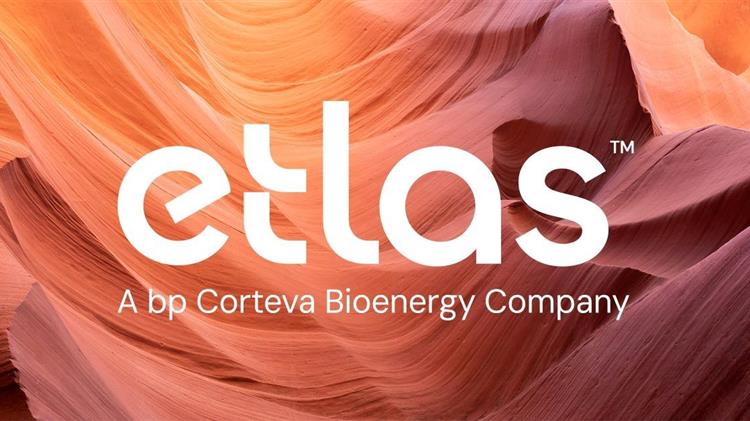 Corteva και bp επενδύουν στους σπόρους των βιοκαυσίμων