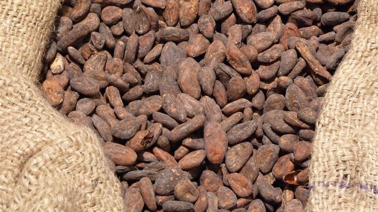 Κρατική παρέμβαση από την Ακτή Ελεφαντοστού για τα απούλητα αποθέματα κακάο