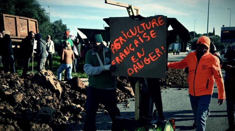 Η Γαλλία μπλοκάρει τις εισαγωγές με απαγορευμένα φυτοφάρμακα