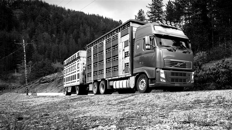 Παγώνουν οι εισαγωγές ζώντων ζώων κλείνουν τα σύνορα για να περιοριστεί η ευλογιά