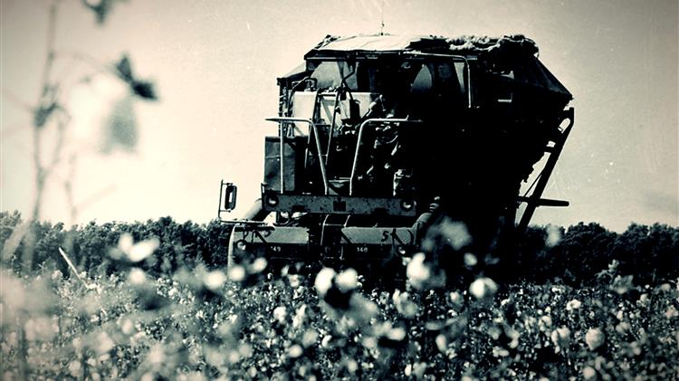 Βαμβάκι: Ποιος κρατά το πηδάλιο και πού οδηγείται το παιχνίδι