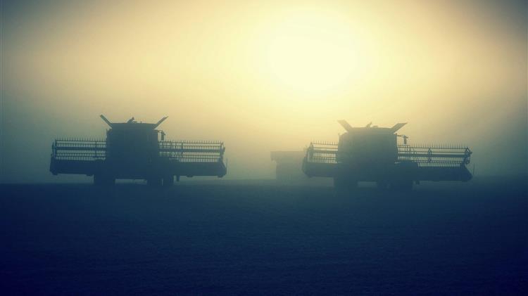 Αναλύοντας το χείλος του γκρεμού της ελληνικής γεωργίας