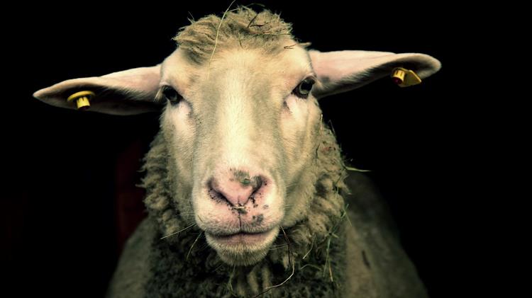 Ευλογιά: Το επόμενο τρίμηνο θα κρίνει την εφαρμογή ή το σύστημα;