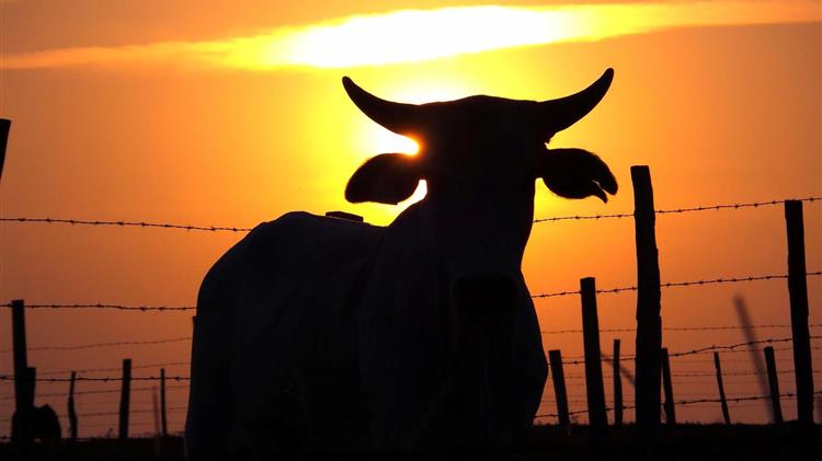 Ο παραγωγικός λαβύρινθος της Ευρώπης και το παράδοξο της αυξανόμενης εξάρτησης από εισαγωγές