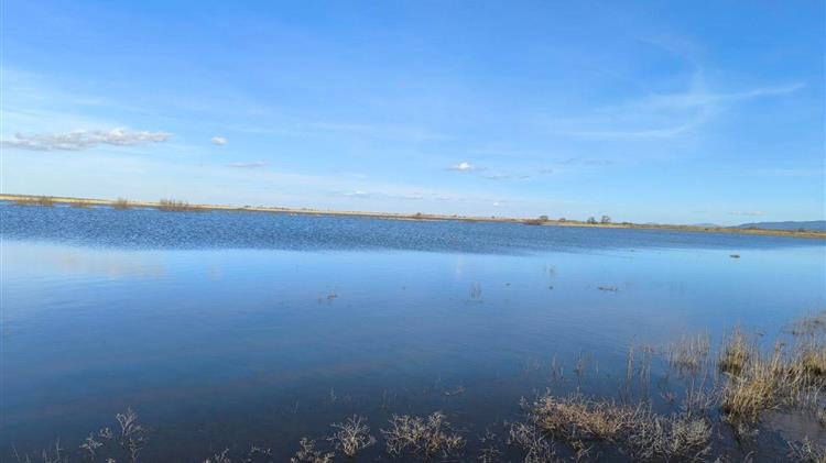 Agrisnap: Παράταση στο σύστημα λόγω των πρόσφατων πλημμυρών