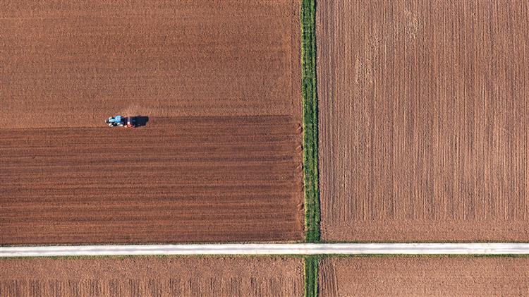 Όσο λιγότερα φυτεύεις, τόσο περισσότερα ρισκάρεις, η Ευρώπη χτυπά καμπανάκι για τη μονοκαλλιέργεια