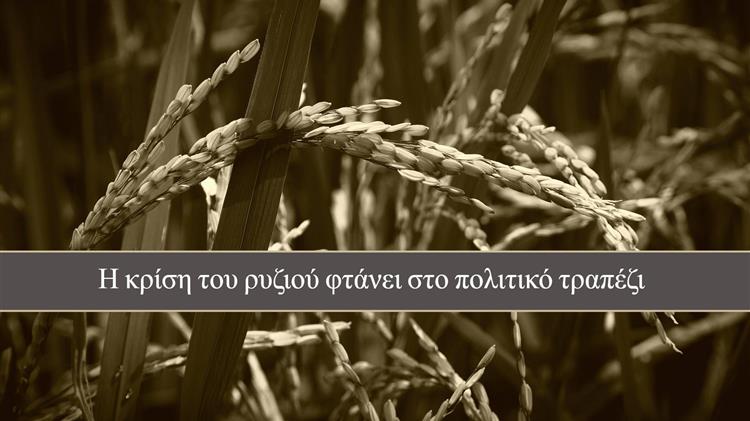 Η κρίση του ρυζιού φτάνει στο πολιτικό τραπέζι