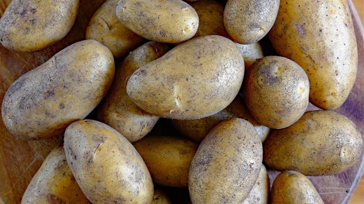 Καταρρέουν οι τιμές πατάτας στην ΕΕ