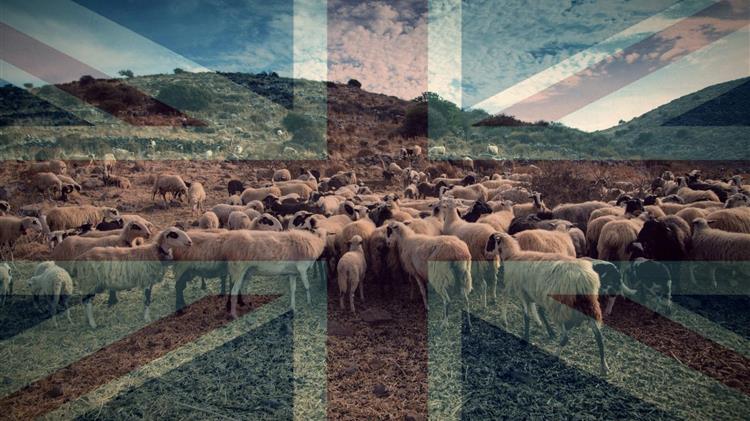 Αφθώδης πυρετός: Το πρώτο εμπορικό χτύπημα έρχεται από το Λονδίνο