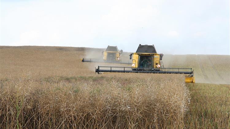 Ρώσοι αγρότες ζητούν κατάργηση των δασμών στις εξαγωγές σιτηρών