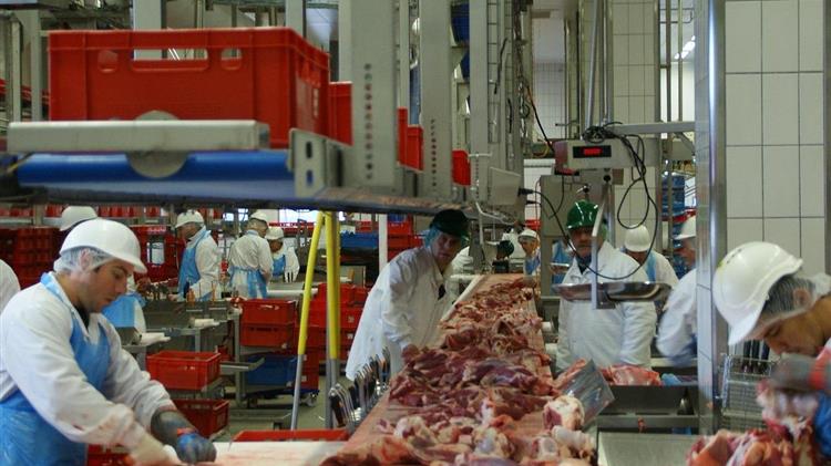 Επικαιροποίηση Οδηγού HACCP για τα Σφαγεία Οπληφόρων