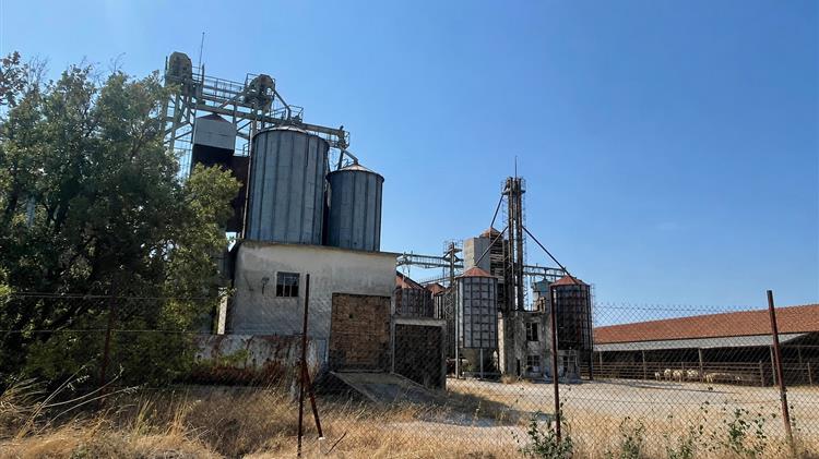 Η κρίση πίσω από τον στάβλο και το κόστος μιας παραγωγής που χάνεται