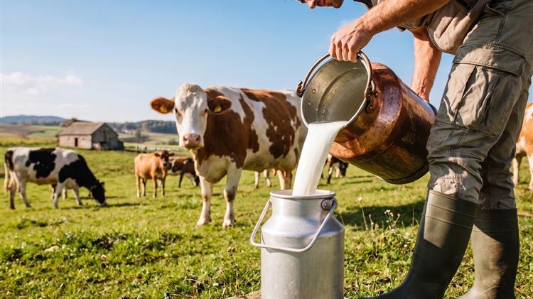 FAO: Περισσότερο γάλα με μικρότερο αποτύπωμα – Η πρόκληση του μετασχηματισμού της κτηνοτροφίας