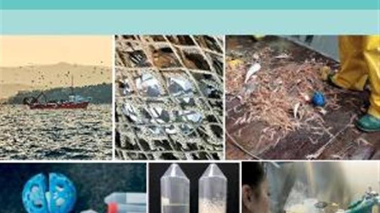 FAO: Το περιβαλλοντικό DNA (eDNA) στη θαλάσσια έρευνα