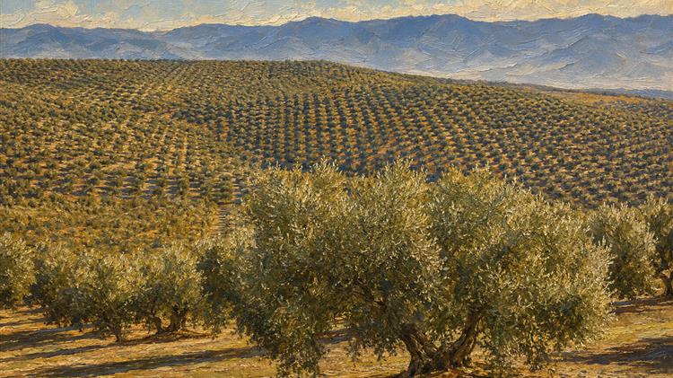 Ελαιόλαδο: Η Ιταλία αντιμέτωπη με αποθέματα-ρεκόρ και βαθιά πτώση των τιμών
