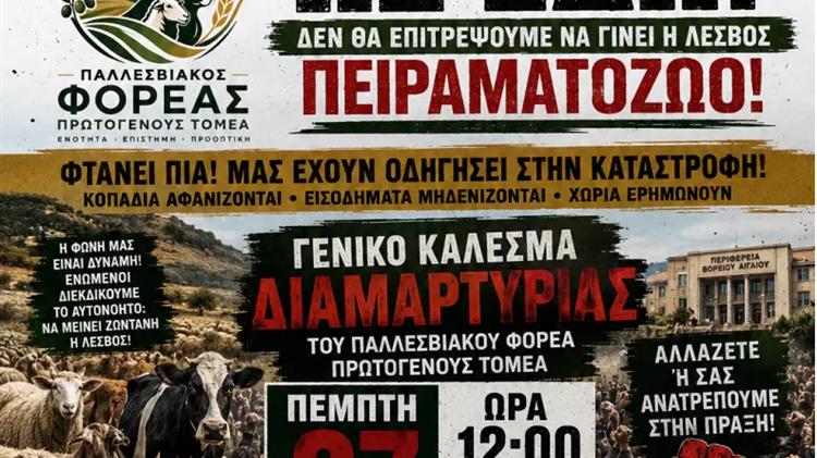 «Ως εδώ!»: Μεγάλο συλλαλητήριο κτηνοτρόφων και αγροτών στη Λέσβο