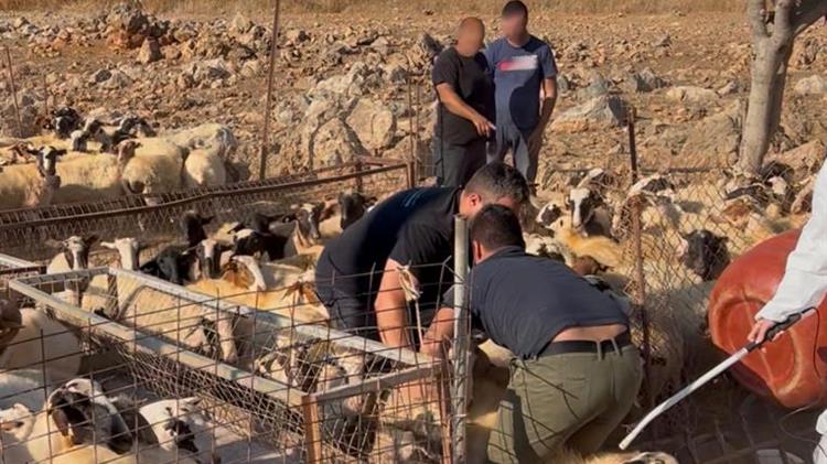 Μαζικοί έλεγχοι της ΑΑΔΕ στα Ζωνιανά για εικονικές αγροτικές επιδοτήσεις