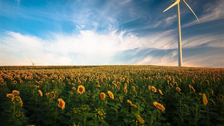 USDA: Σε ιστορικό υψηλό η παγκόσμια παραγωγή ηλιόσπορου το 2026/2027