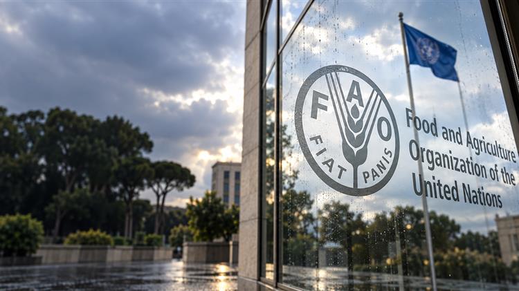 FAO: Ακριβότερα όλα τα βασικά τρόφιμα