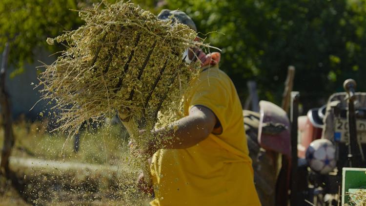 Ριζικός εκσυγχρονισμός στην αγροτική εκπαίδευση στη Γερμανία μετά από 30 χρόνια