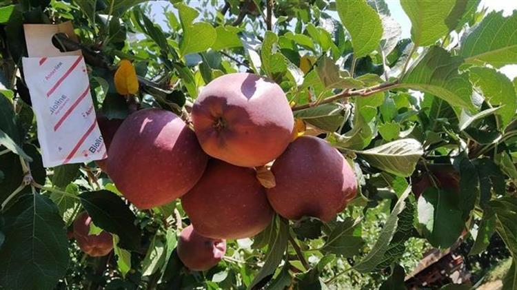 Κομφούζιο: Αλλαγές σε 2.455 πράξεις και 225 εντάξεις μέσω μεταβιβάσεων