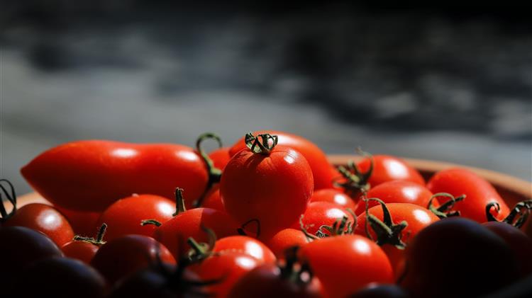 Επιχείρηση της Ευρωπαϊκής Εισαγγελίας στην Ιταλία για απάτη με αγροτικές επιδοτήσεις της ΕΕ