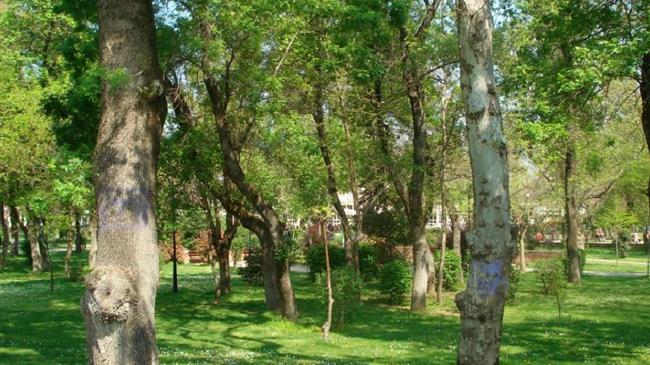 Δασική νομοθεσία: Ποιες εκτάσεις εξαιρούνται