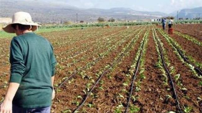 Φ. Αραμπατζή: Κορυφαίος για τη ΝΔ ο ρόλος της γυναίκας της υπαίθρου