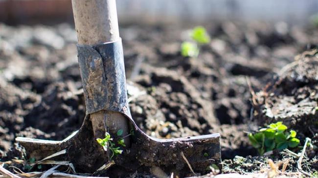 ΠΑΣΟΚ: Αίτημα κλήσης των διατελεσάντων υπ. Αγροτικής Ανάπτυξης και προέδρων ΟΠΕΚΕΠΕ στην Επιτροπή Θεσμών