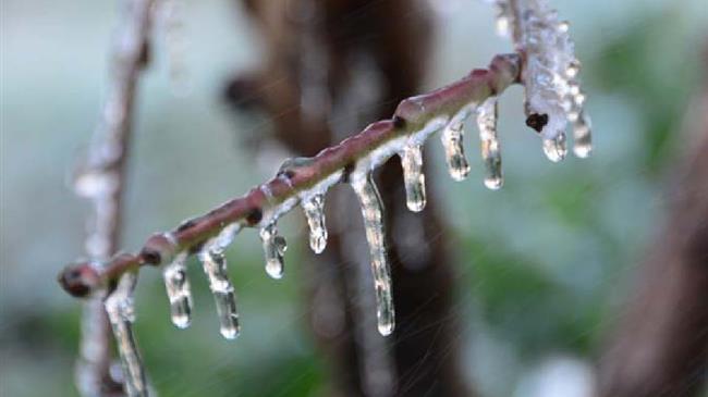 Σοβαρές ζημιές σε καλλιέργειες