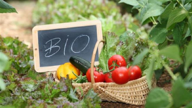 Τροποποίηση του Μέτρου 11 "Βιολογικές Καλλιέργειες"