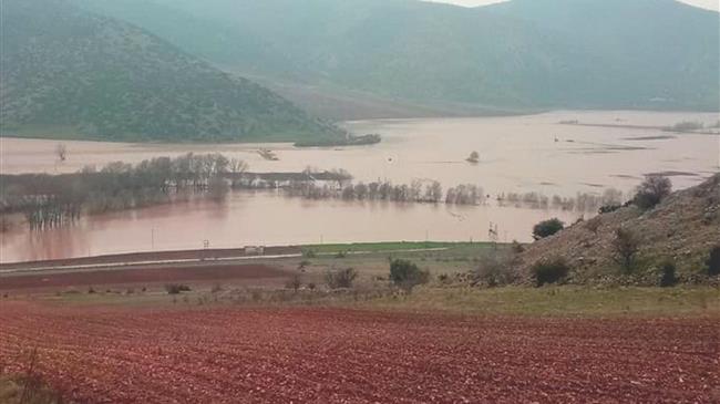 Παρέμβαση Αντιπεριφερειάρχη για αποζημίωση των παραγωγών από την πρόσφατη θεομηνία