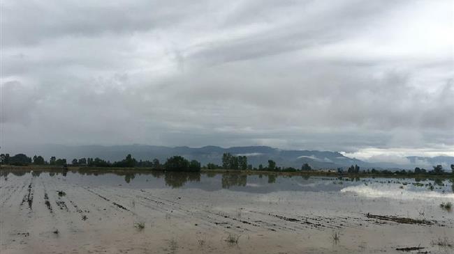 Ηράκλειο: Καταγραφή των ζημιών από την κακοκαιρία και αναπλήρωση του εισοδήματος τους ζητούν οι αγρότες
