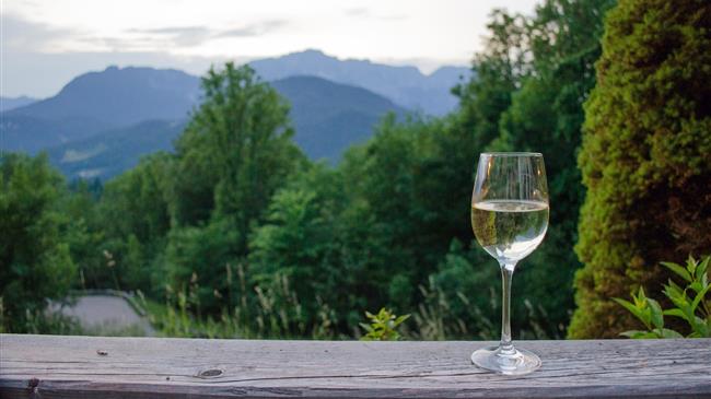 ΚΕΟΣΟΕ: Οι Πορτογάλοι αμπελουργοί σε κρίση και θυμό