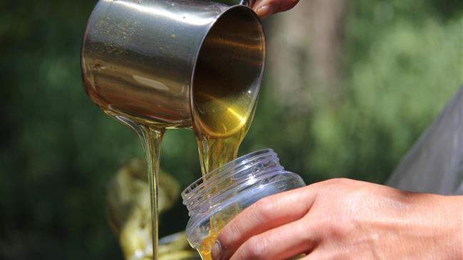 Ελληνοποιήσεις και κόστος παραγωγής απασχολούν τους μελισσοκόμους της Λάρισας