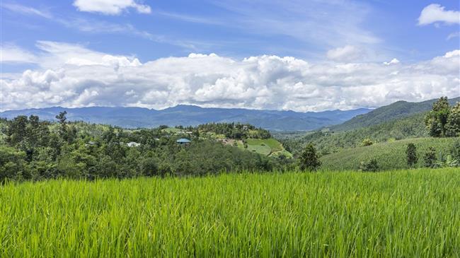 ΠΕΝΑ:Μήπως να ξανασκεφτείτε το ΑΤΑΚ ;