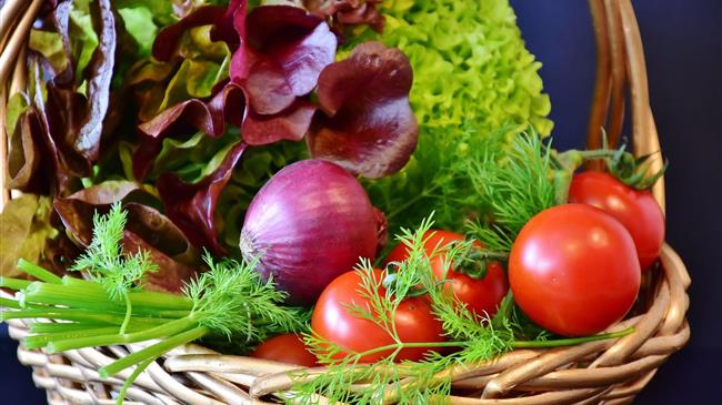 «Στήριξη για νέες συμμετοχές σε συστήματα ποιότητας»