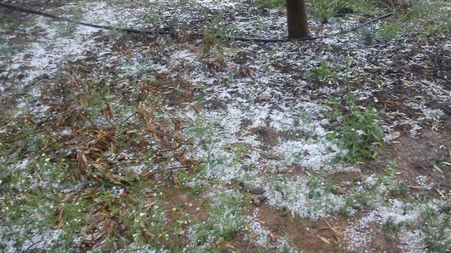 Στηρίξτε τον καθημαγμένο αγροτικό κόσμο!