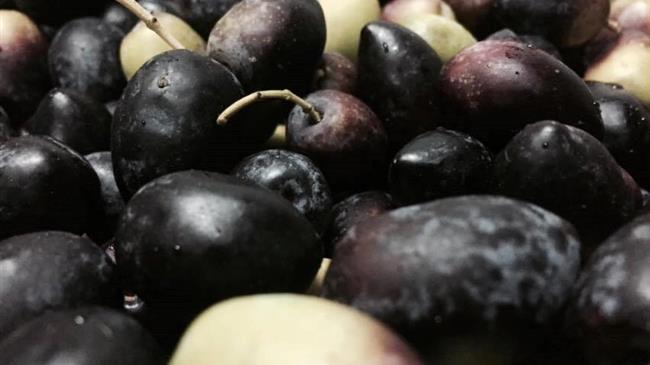 Στ. Αραχωβίτης : οι τιμές ελαιολάδου και βρώσιμης ελιάς