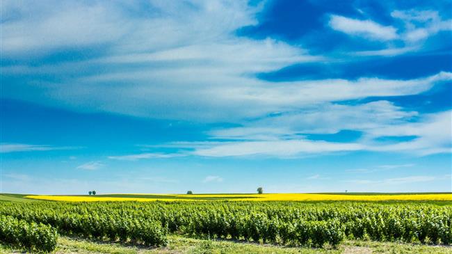    Οικονομική ανάπτυξη με οικολογικό πρόσημο
