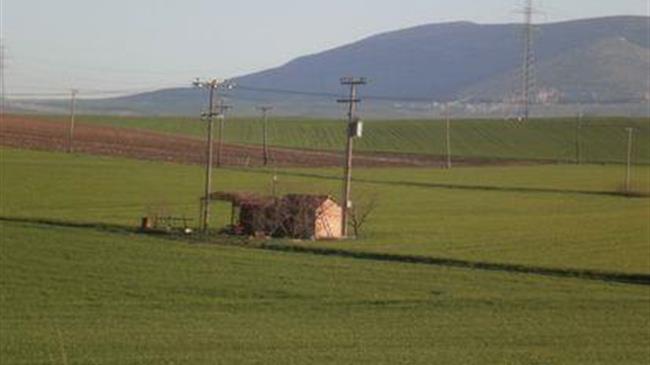 Το κόστος της ενέργειας στην ελληνική και ευρωπαϊκή γεωργία, 2008-2017
